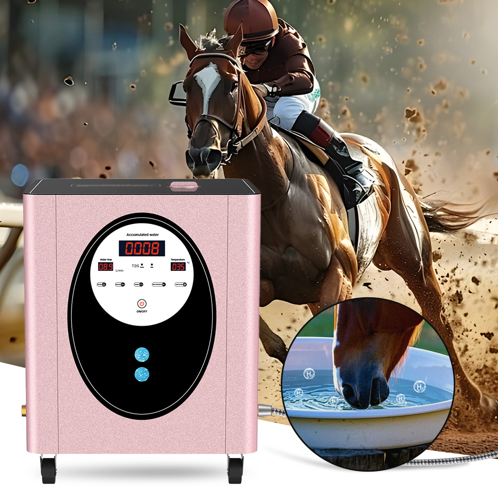 SUYZEKO Whole House Hydrogen W - Spa Wellness Health ulasan dan harga